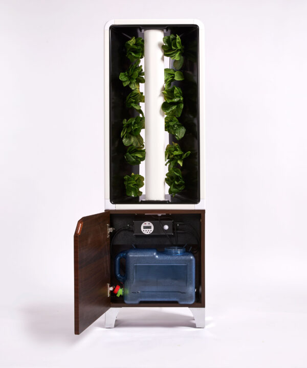 EVE - Image 3