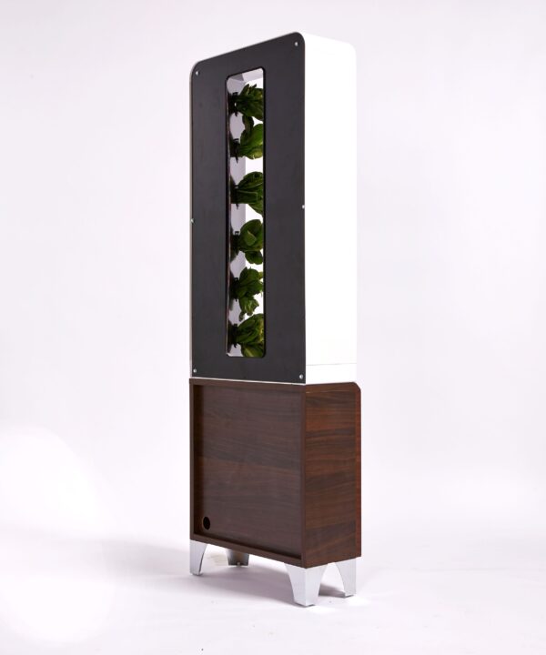 EVE - Image 2